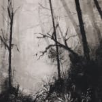 Fiona Fouhy, I Rose and Fell, 2025