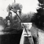 Dulwich College Secret Bid Auction 2025, LOT 152: Roantree x Kummattummal - Rewilding III, 2022