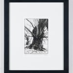 Summer Secret Bid Auction 2025, LOT 67: Blaze Cyan - Pine Forest, 2023