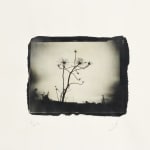 Summer Secret Bid Auction 2025, LOT 134: Rebecca Holmes - Sunsets in my Mind, 2025