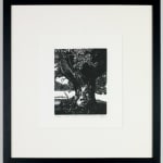 Dulwich College Secret Bid Auction 2025, LOT 152: Roantree x Kummattummal - Rewilding III, 2022