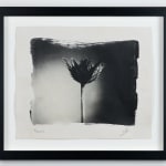 Christmas Secret Bid Auction 2025, LOT 110: Kip Gresham - Untitled, 1986