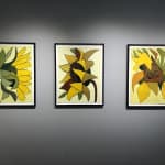Nigel Swift, Untitled 341 (Sunflower), 2020