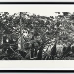 Trevor Price, Woodland Walk