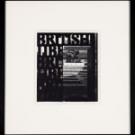 Anne Desmet, London Gardens Kaleidoscope II, 2023