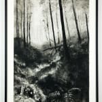 Fiona Fouhy, I Rose and Fell, 2025