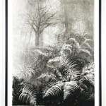 Fiona Fouhy, I Rose and Fell, 2025