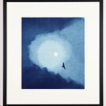 Christmas Secret Bid Auction 2025, LOT 209 - Nigel Swift: Birds and Morn, 2020