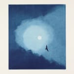 Christmas Secret Bid Auction 2025, LOT 209 - Nigel Swift: Birds and Morn, 2020