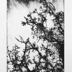 Edward Twohig, Berkshire Breeze Series, Homage to Corot, 2015