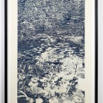 Trevor Price, Lets go and Live by the Ocean, 2026