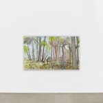 Fabrice Hyber , Graines, 2025