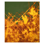 Juanan Soria, Capa 0 - C01 , 2022
