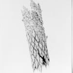 Marc Brousse, Gesto 04, 2024