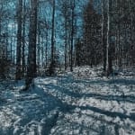 Dirk Eelen, We've been in these Woods View, 2025