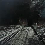 Dirk Eelen, We've been in these Woods View, 2025