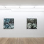Dirk Eelen, We've been in these Woods View, 2025