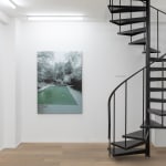 Dirk Eelen, We've been in these Woods View, 2025