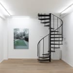 Dirk Eelen, We've been in these Woods View, 2025
