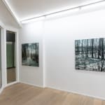 Dirk Eelen, We've been in these Woods View, 2025
