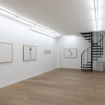Céline Marin, Minuit suspendu #31, 2024