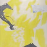 Claudia Torán, Wild Horses II, 2018