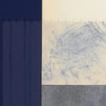 Blannim, Tabebuia, 2025