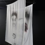 Angelica Arbulu, Three generations
