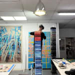 Rodrigo Zamora, Homo Collector 3, 2007
