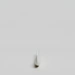Aisaku Suzuki, #022586 A-Form, 2013