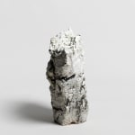 Kei Tanimoto, #021634 Ancient times, 2017