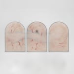 Xin Liu, Teratoma , 2019