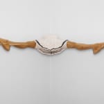 Shana Hoehn, Untitled, 2025