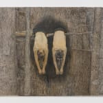 Shana Hoehn, Untitled, 2025