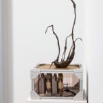 Xin Liu, Teratoma , 2019