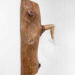 Shana Hoehn, Untitled, 2025