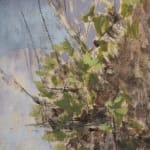 Shana Hoehn, Untitled, 2025