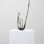 Xin Liu, Teratoma , 2019