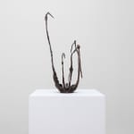 Xin Liu, Teratoma , 2019