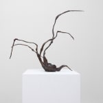 Xin Liu, Teratoma , 2019