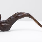 Xin Liu, Teratoma , 2019