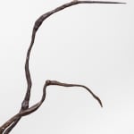 Xin Liu, Teratoma , 2019