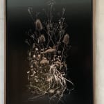 Jasper Goodall, Twilight #36, Reaching Tree, 2021
