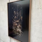 Jasper Goodall, Twilight #36, Reaching Tree, 2021