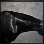 John Reardon, Xaar, 'Tail', 2001