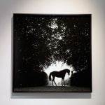 John Reardon, Xaar, 'Tail', 2001