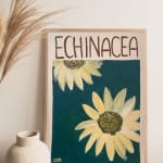 Ainhoa Montánchez, Echinacea, 2021