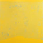 Cian McLoughlin, Human faces, rubber ducks and other misunderstandings III