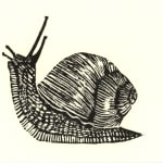 Cards, Gail the Snail