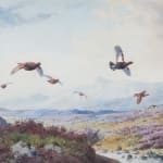 John Cyril Harrison, Grouse over moorland